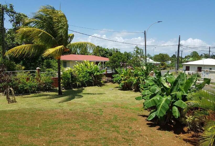استودیو استاندارد با چشمانداز استخر, La Maison Aux Orchidées