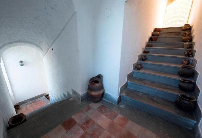 آپارتمان 1 خوابه با چشمانداز دریا, B&b 1787 In Montechiaro