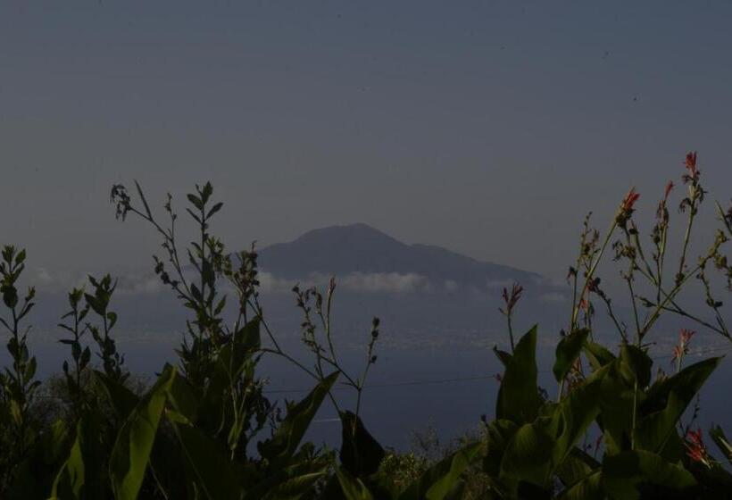 آپارتمان 1 خوابه با چشمانداز دریا, B&b 1787 In Montechiaro