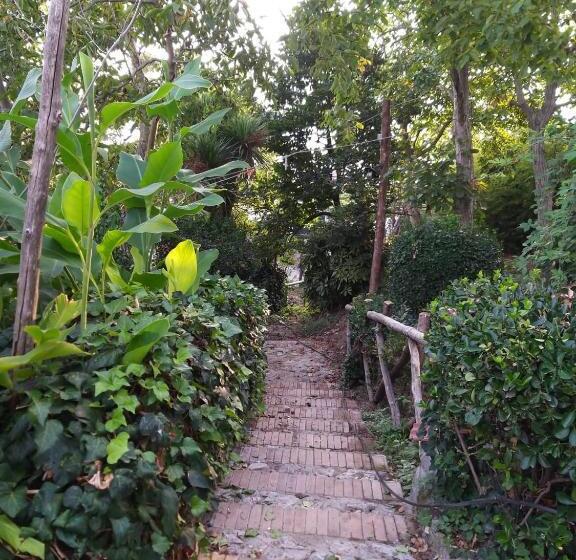 آپارتمان 1 خوابه با چشمانداز باغ, B&b 1787 In Montechiaro