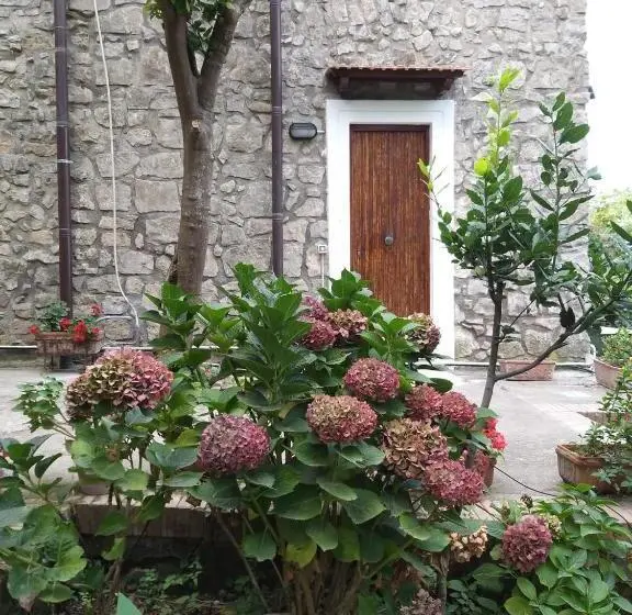 庭の見える１ベッドルームアパートメント, B&b 1787 In Montechiaro