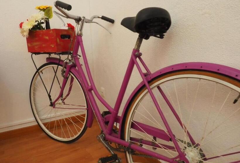 اتاق استاندارد با سرویس بهداشتی مشترک, The Portuguese Element