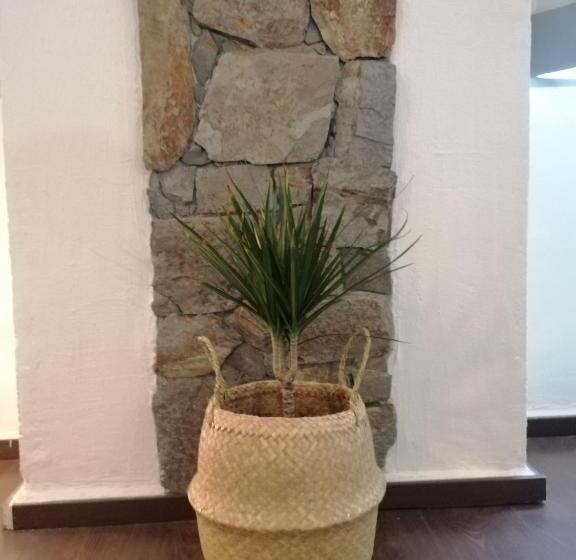 استودیوی سوپریور, The Portuguese Element