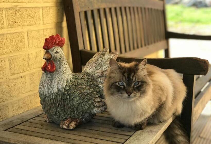 خانه روستایی 1 خوابه, Le Jardin Des Secrets