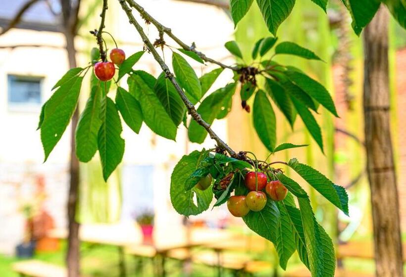 خانه روستایی 1 خوابه, Le Jardin Des Secrets