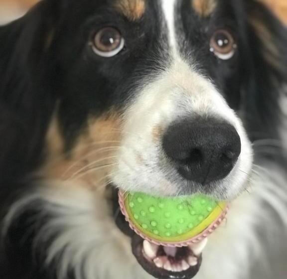 اتاق لوکس, Le Jardin Des Secrets