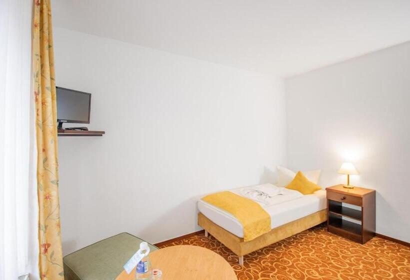 スタンダードシングルルーム, Garni Zwickaumosel