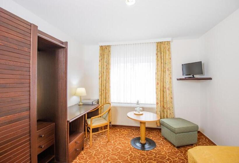 スタンダードシングルルーム, Garni Zwickaumosel