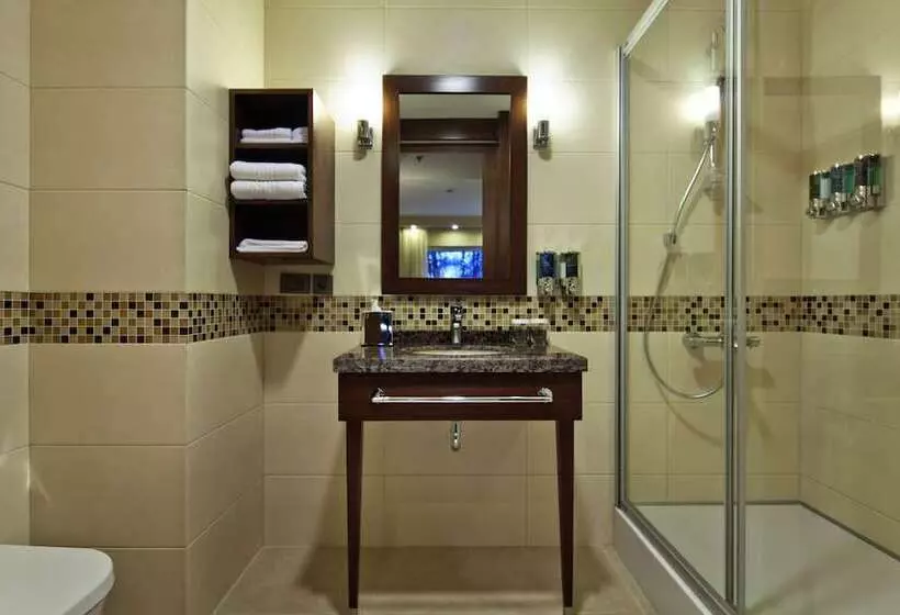 اتاق استاندارد, Hampton By Hilton Ordu