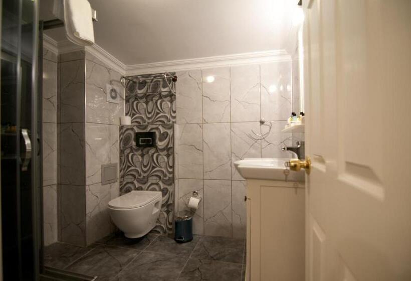 اتاق استاندارد, Mevlana