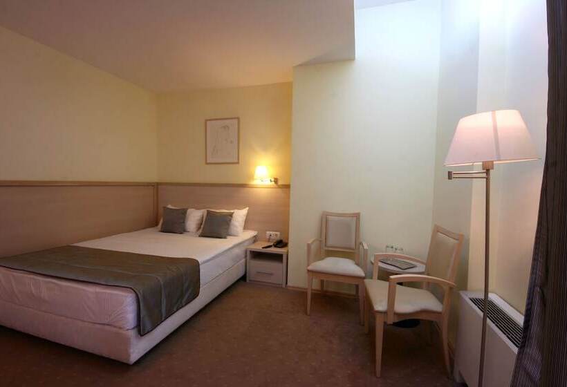 Номер Стандарт Индивидуальный, Savoy