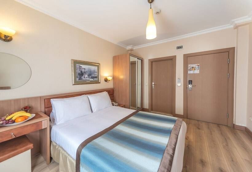 اتاق استاندارد یک نفره, Senabil Hotel Old City & Spa