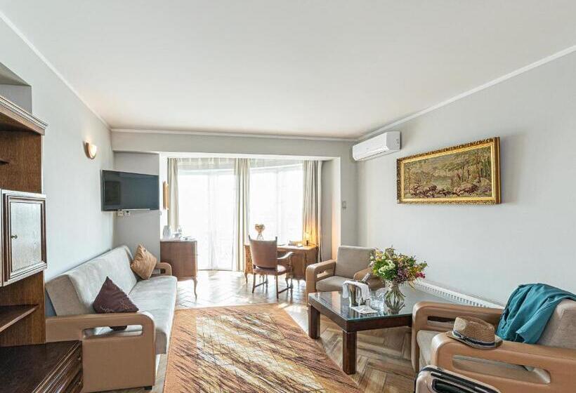 Superior room with lake view, Solar Palace Spa & Wellness