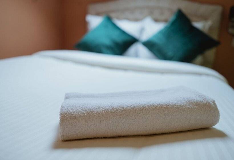 Habitación Estàndard Individual, Le Centenaire Brussels Expo