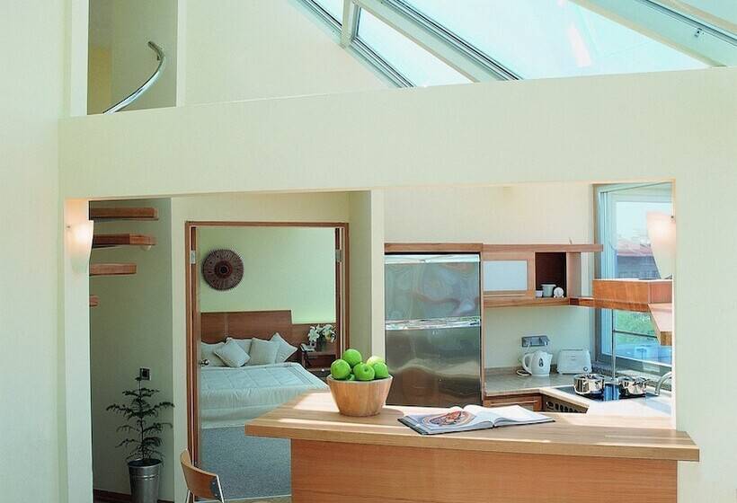 ペントハウスルーム, Taxim Suites Residences Istanbul
