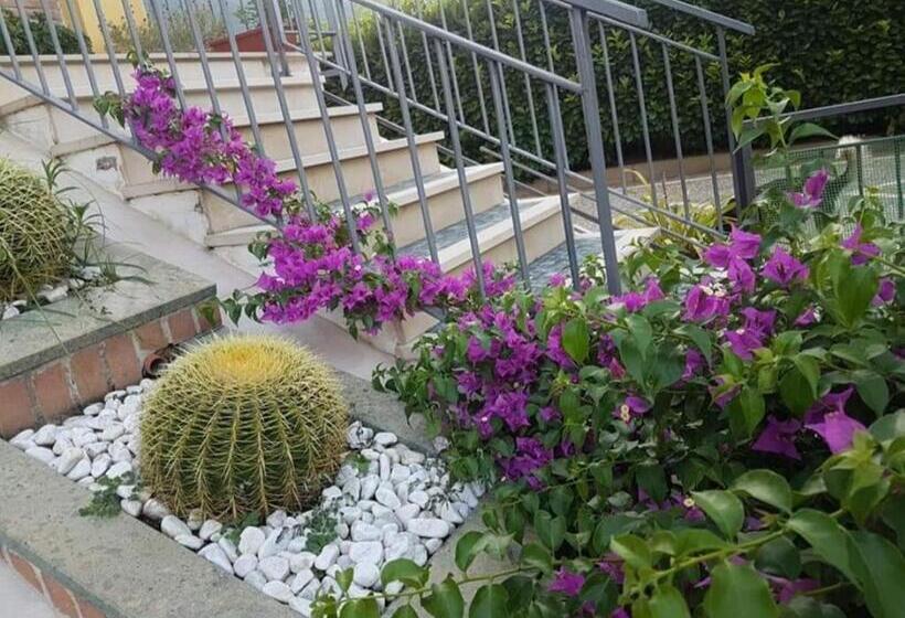 家庭间, B&b Rossella