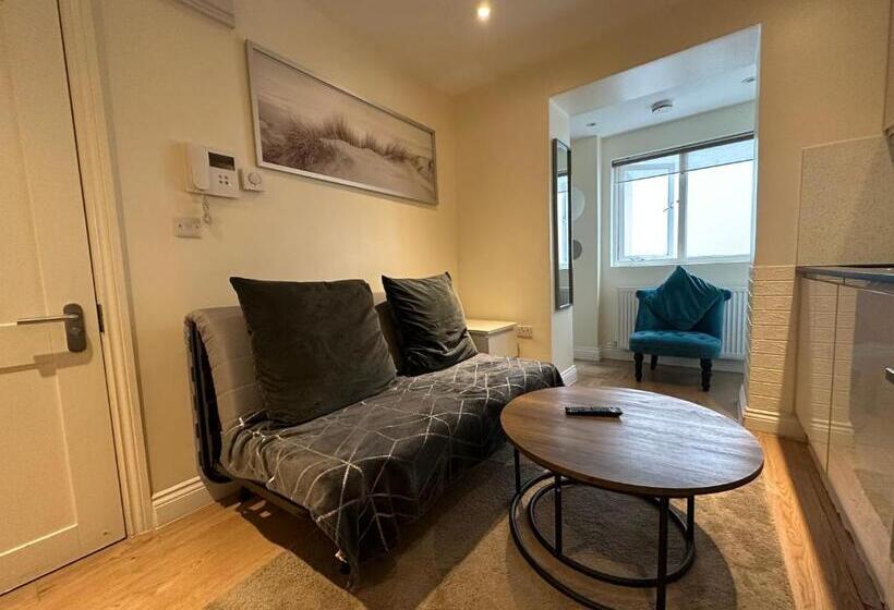 شقة غرفة واحدة مزودة بتراس, Gloucester Place   Baker Street