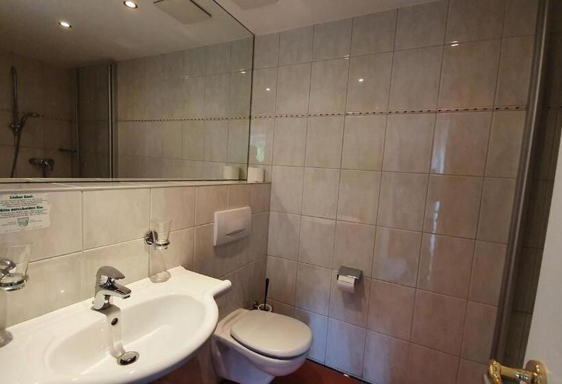 バルコニー付きスタンダードルーム, Wirtshaus Zum Baumbach