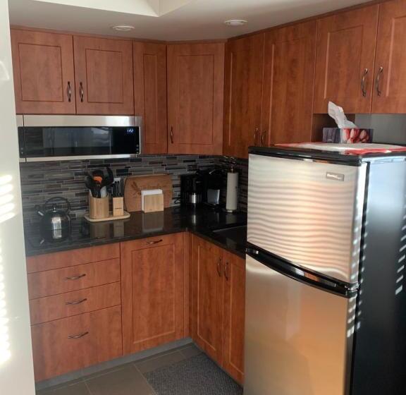 جناح مزود بجاكوزى, Dragonfly Inn Loft Suite