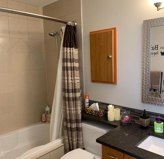 جناح مزود بجاكوزى, Dragonfly Inn Loft Suite