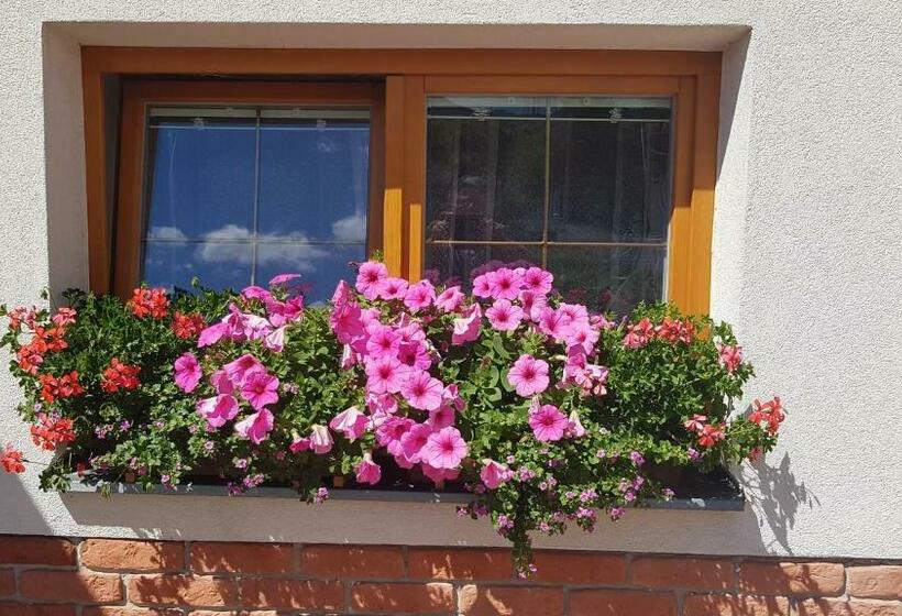 Номер Стандарт Трехместный, Privat Nika