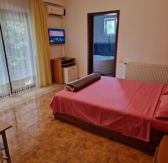 Quarto Estandar, Vila Sara