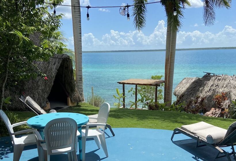 إستوديو ديلوكس, Agaveblue