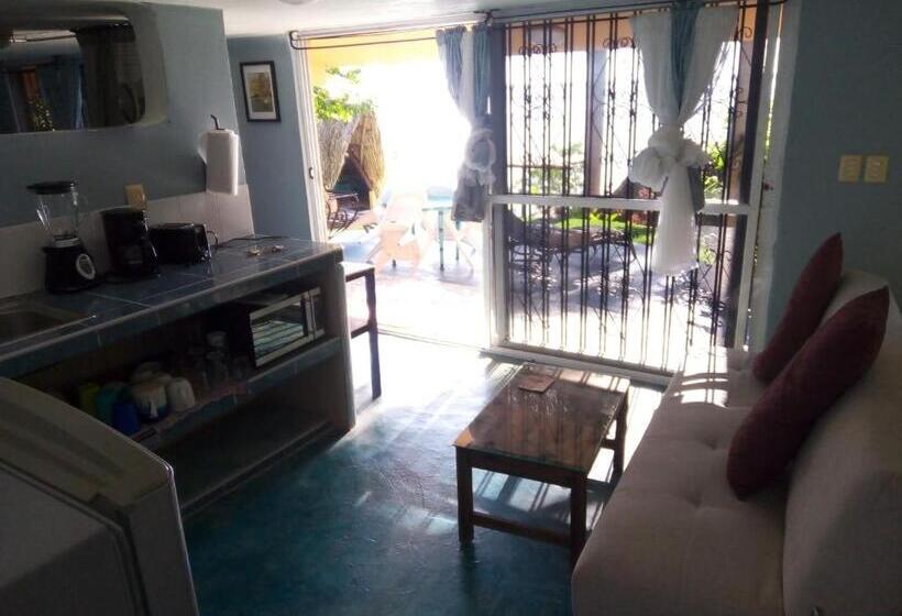 إستوديو ديلوكس, Agaveblue