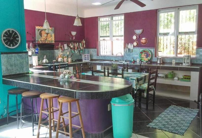 جناح عائلي, Agaveblue