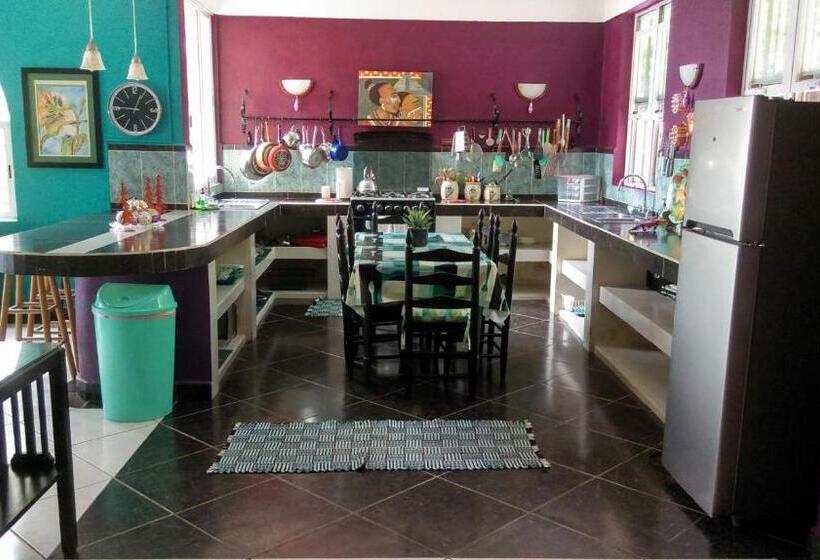 جناح عائلي, Agaveblue