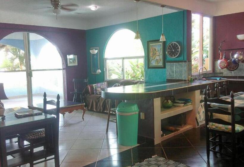 جناح عائلي, Agaveblue