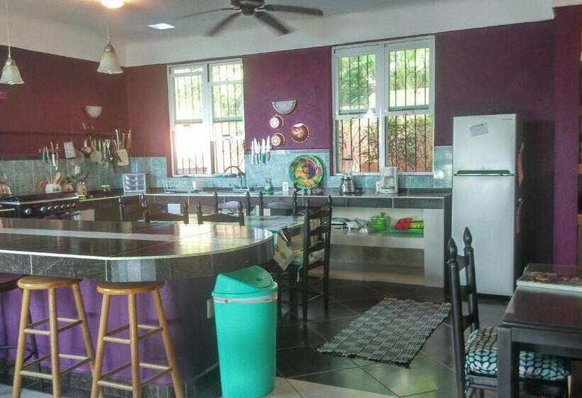 جناح عائلي, Agaveblue