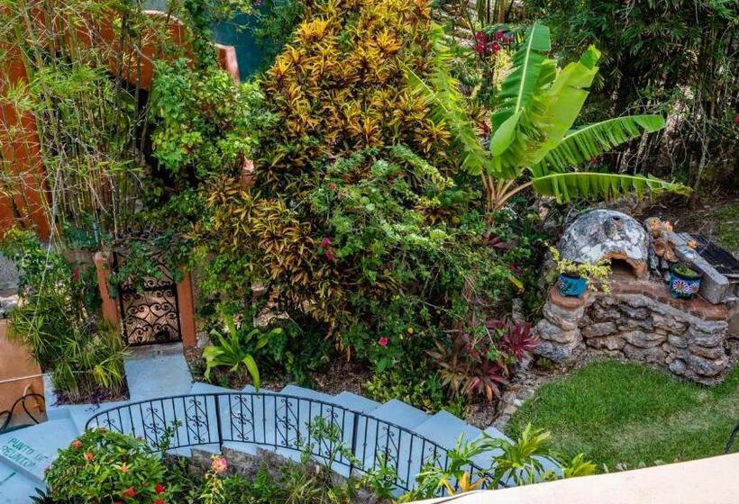 غرفة عائلية, Agaveblue