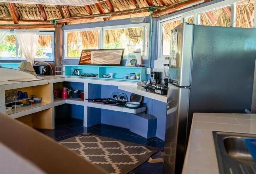 غرفة عائلية, Agaveblue