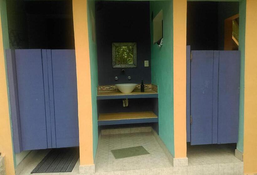 غرفة إقتصادية, Agaveblue