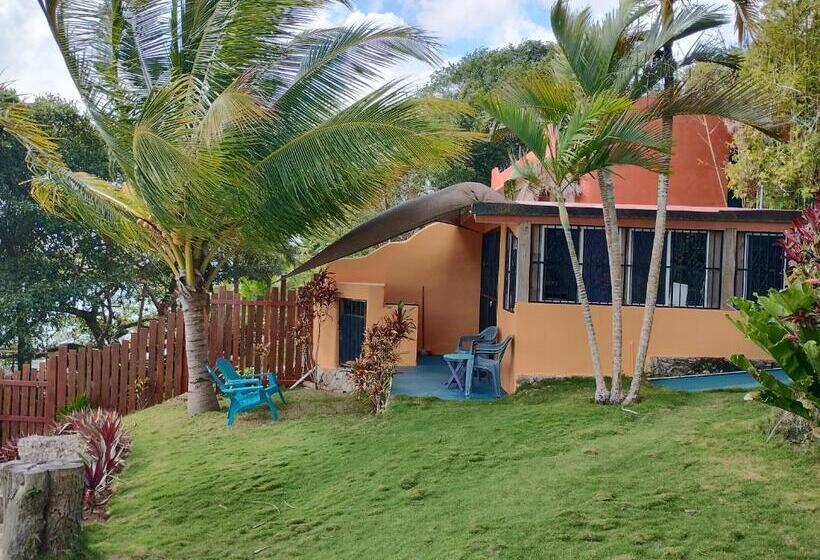 غرفة إقتصادية, Agaveblue