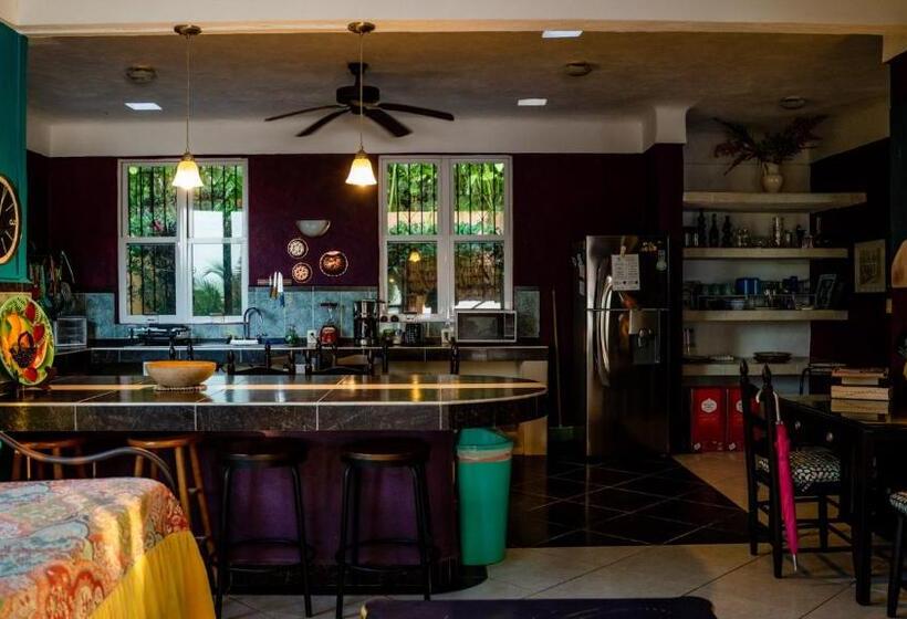 جناح عائلي, Agaveblue