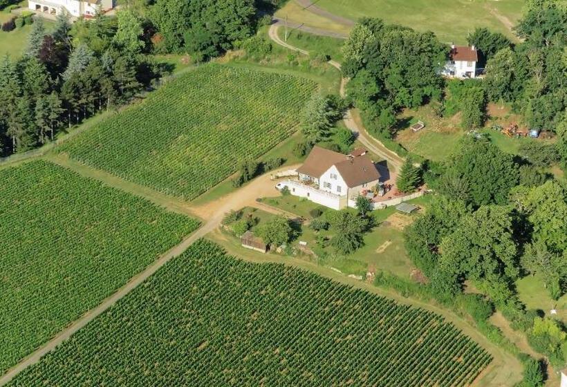 غرفة قياسية, Le Mont Laurent