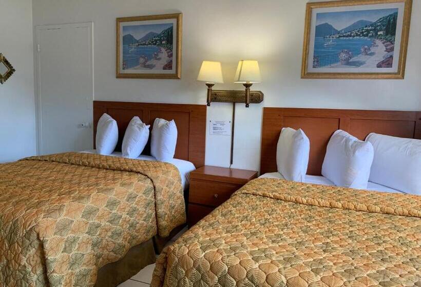 标准间, International Inn On The Bay