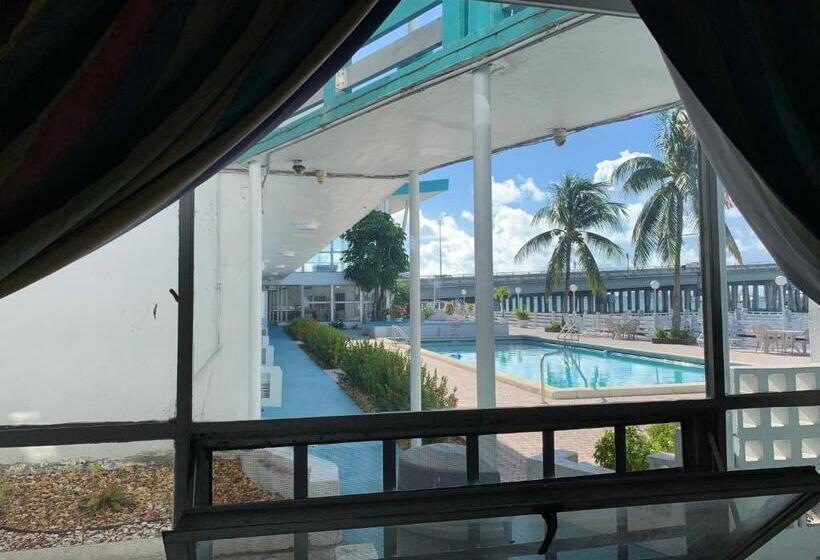 适合残疾人士使用的带超级大床的标准间, International Inn On The Bay