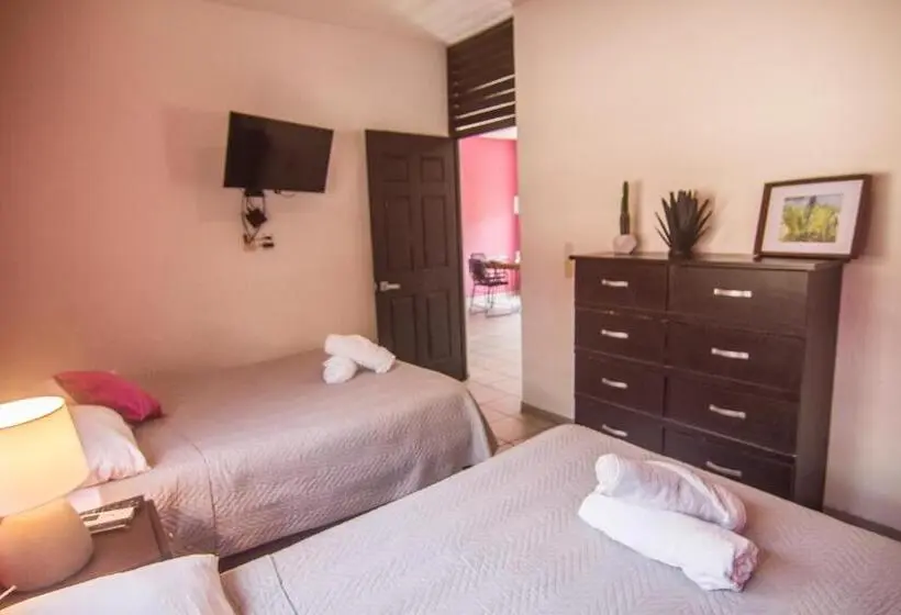 １ベッドルームアパートメント, Villas Pura Chacala