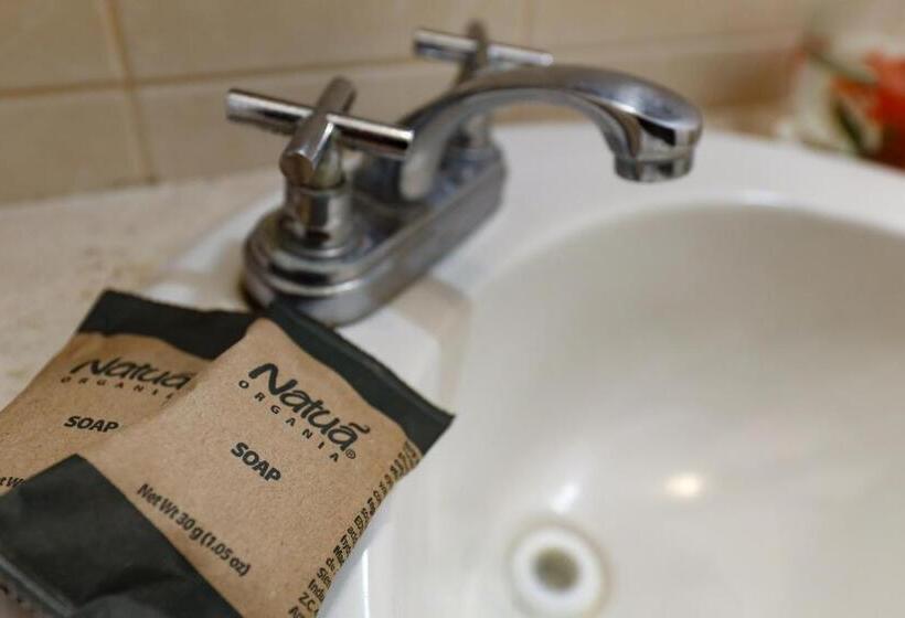 ２ベッドルームアパートメント, Villas Pura Chacala