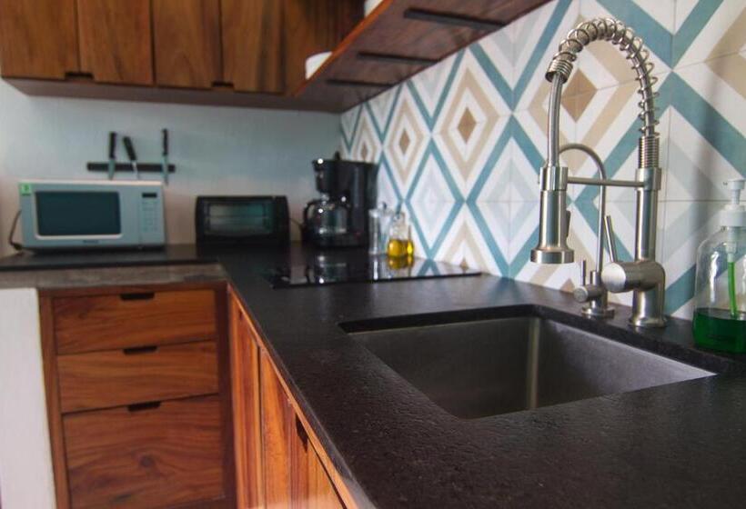 １ベッドルームアパートメント, Villas Pura Chacala