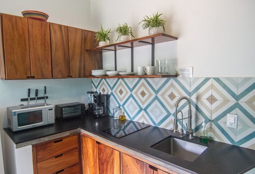 １ベッドルームアパートメント, Villas Pura Chacala