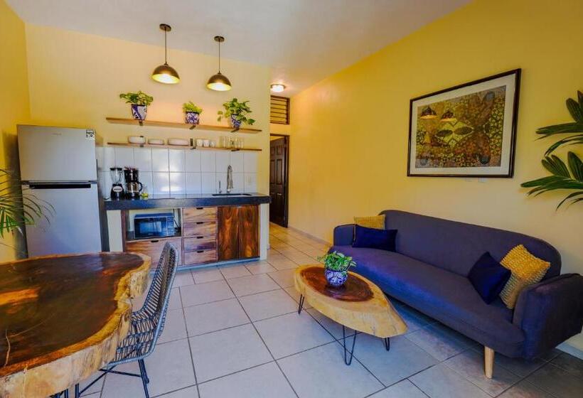 １ベッドルームアパートメント, Villas Pura Chacala