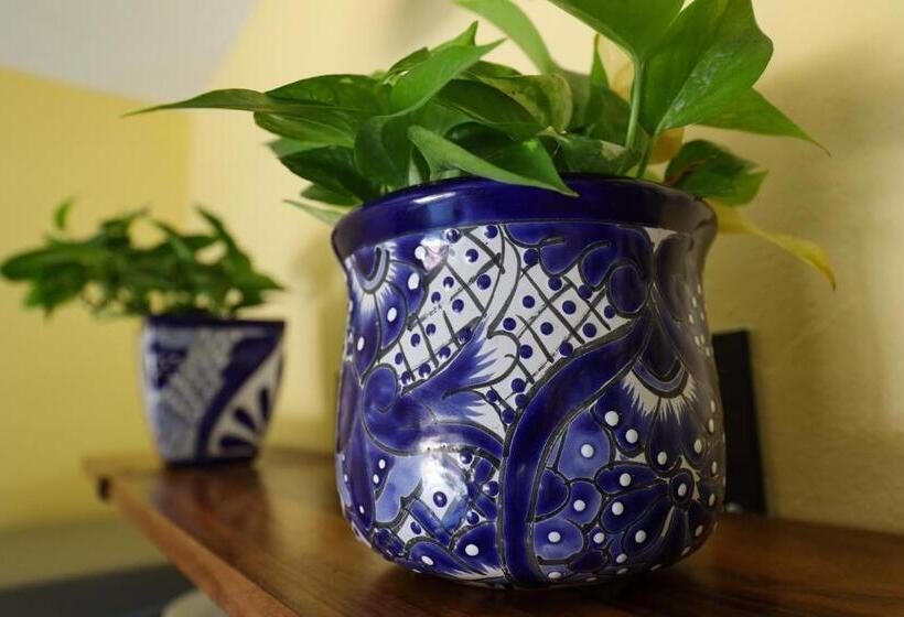 １ベッドルームアパートメント, Villas Pura Chacala