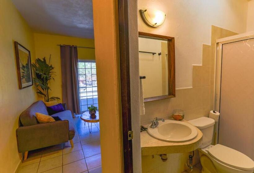 １ベッドルームアパートメント, Villas Pura Chacala