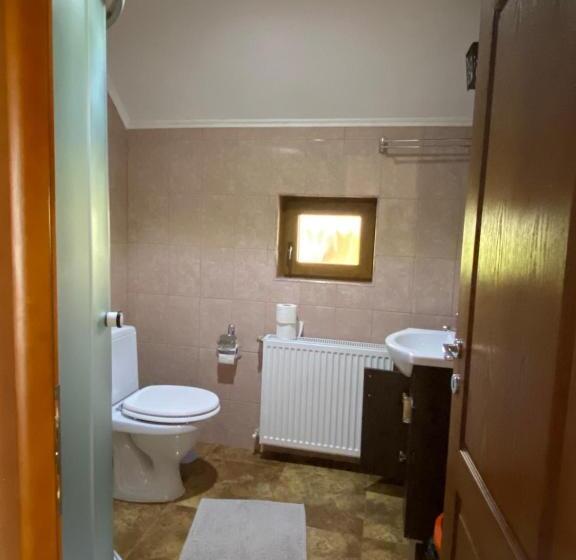 Номер Стандарт с Балконом, Popas In Breb