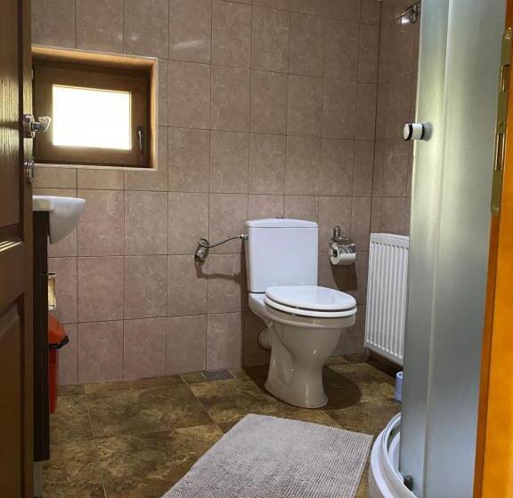 Трехместный Номер Стандарт с Балконом, Popas In Breb