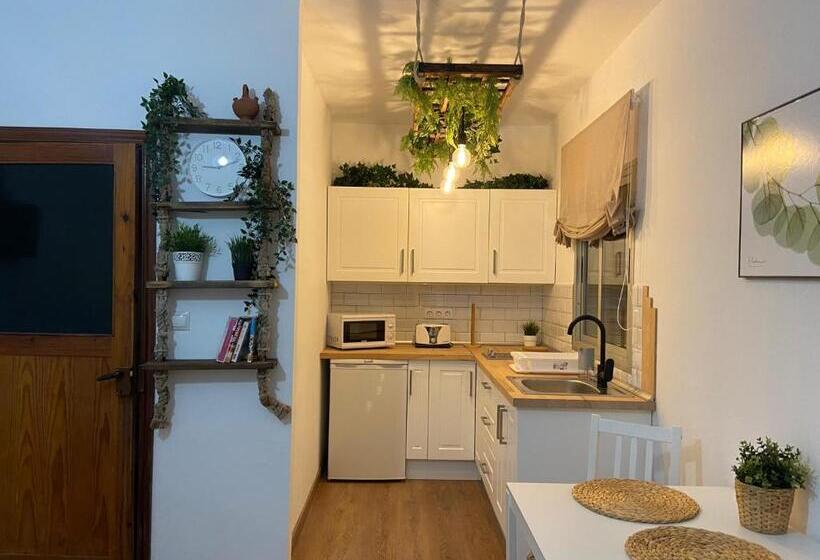 スタンダードスタジオ, B&b And Apartments El Charco Azul